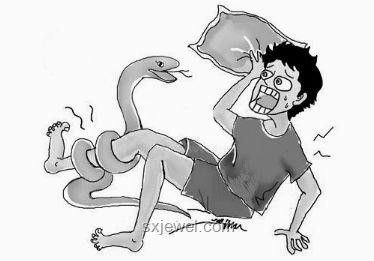 男童险遭蛇袭 父亲机智扔菜救子
